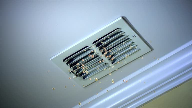 Best Air Duct Cleaning Near Me  in North Vacherie, LA